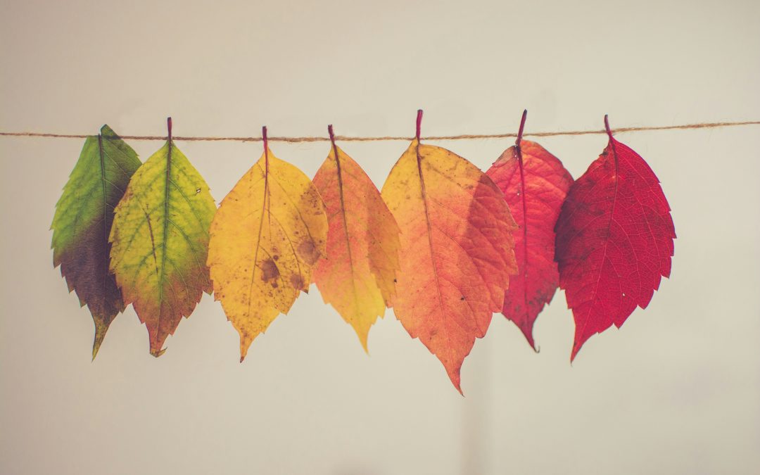How a Westport Acupuncturist Looks at Seasonal Change Fatigue